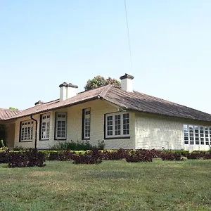 Ama And Trails Tea Estate , , Munnar India